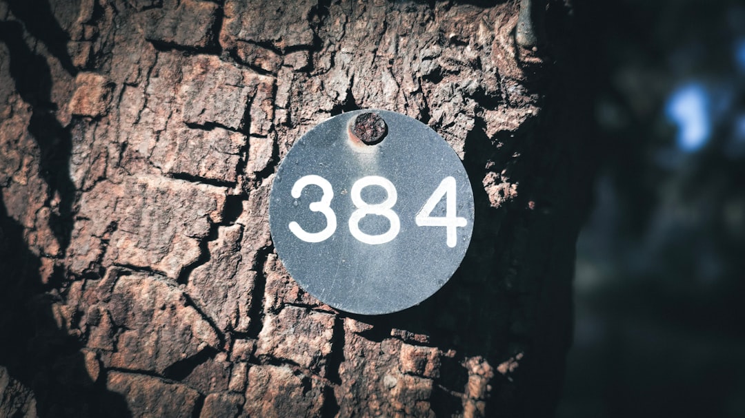 Mengenal Slot DV188: Solusi Aman dengan Pembayaran Melalui Dana