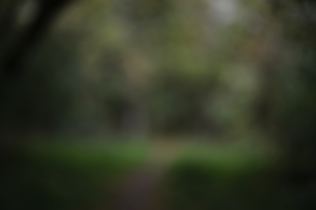 Tips Memaksimalkan Peluang Menang di Slot Gacor Hari Ini DV188